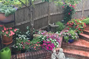 803 Green St, Alexandria, VA 22314 - Photo 76