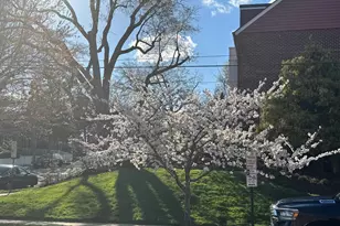 803 Green St, Alexandria, VA 22314 - Photo 62