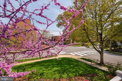803 Green Street, Alexandria, VA 22314 - Photo 8