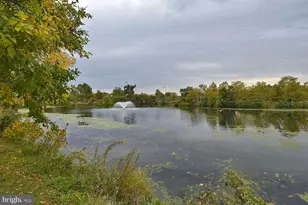 171 Somervelle St, Alexandria, VA 22304 - Photo 28