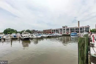 400 Oronoco St, Alexandria, VA 22314 - Photo 88
