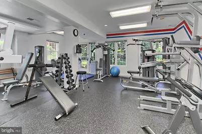 3539 Martha Custis Drive, Alexandria, VA 22302 - Photo 40