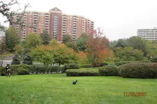 203 Yoakum Pkwy, Alexandria, VA 22304 - Photo 8