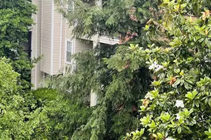 3306 Wyndham Cir, Alexandria, VA 22302 - Photo 18