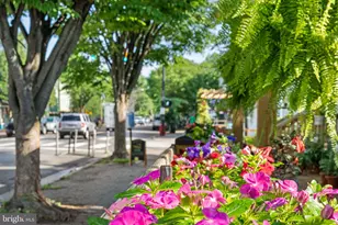 1800 Mt Vernon Ave, Alexandria, VA 22301 - Photo 46