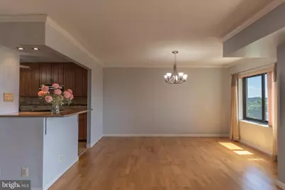 307 Yoakum Parkway #1104, Alexandria, VA 22304 - Photo 8