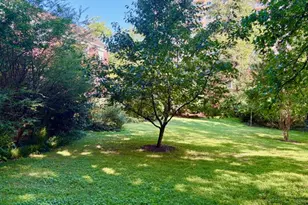 1244 Martha Custis Dr, Alexandria, VA 22302 - Photo 22