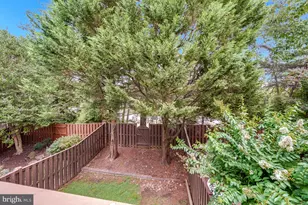 4641 Kirkland Pl, Alexandria, VA 22311 - Photo 20