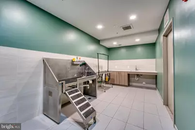 635 Slaters Lane #306, Alexandria, VA 22314 - Photo 44