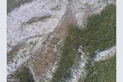 State Hwy. 15 (Tract: Tonguequarter), Dillwyn, VA 23936 - Photo 16