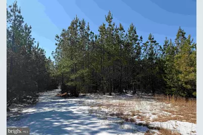 State Hwy. 15 (Tract: Tonguequarter), Dillwyn, VA 23936 - Photo 2