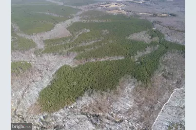 State Hwy. 15 (Tract: Tonguequarter), Dillwyn, VA 23936 - Photo 6