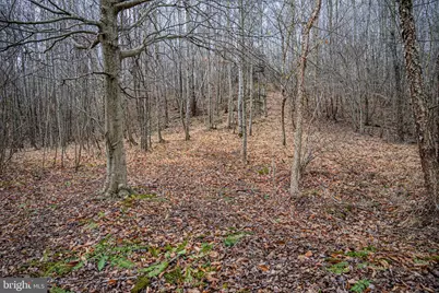 Tbd Troublesome Creek Rd, Buckingham, VA 23921 - Photo 14
