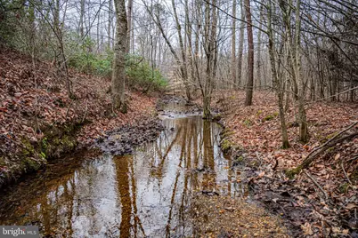 Tbd Troublesome Creek Rd, Buckingham, VA 23921 - Photo 6