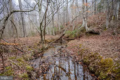Tbd Troublesome Creek Rd, Buckingham, VA 23921 - Photo 10