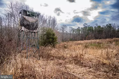 Tbd Troublesome Creek Rd, Buckingham, VA 23921 - Photo 4