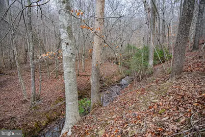 Tbd Troublesome Creek Rd, Buckingham, VA 23921 - Photo 12