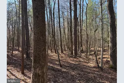 1 Maple Bridge Rd, Dillwyn, VA 23936 - Photo 4