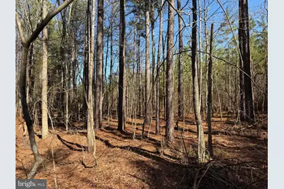 1 Maple Bridge Rd, Dillwyn, VA 23936 - Photo 22