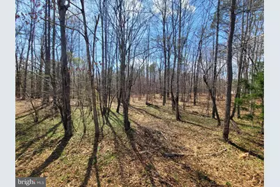 Texas School Road, Buckingham, VA 23921 - Photo 1