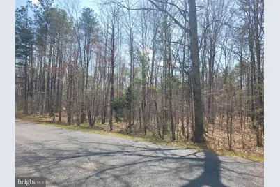 Texas School Road, Buckingham, VA 23921 - Photo 2