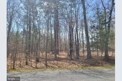 Texas School Road, Buckingham, VA 23921 - Photo 4