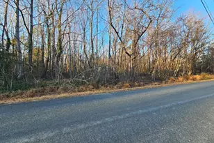 1 Ac Physic Spring Rd, Dillwyn, VA 23936 - Photo 1