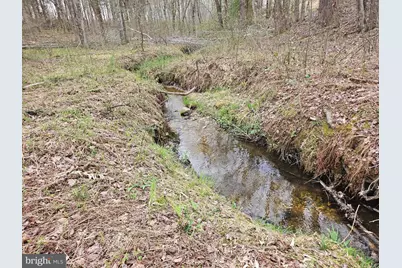 83.84 Ac S James River Road, Buckingham, VA 23921 - Photo 12