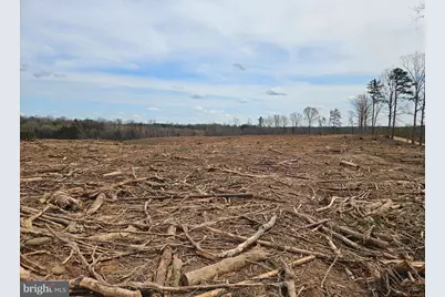 83.84 Ac S James River Road, Buckingham, VA 23921 - Photo 6