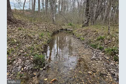 83.84 Ac S James River Road, Buckingham, VA 23921 - Photo 10