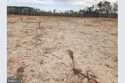 83.84 Ac S James River Road, Buckingham, VA 23921 - Photo 4