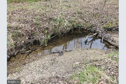 83.84 Ac S James River Road, Buckingham, VA 23921 - Photo 14