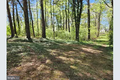 3271 Rosney Road, Dillwyn, VA 23936 - Photo 38