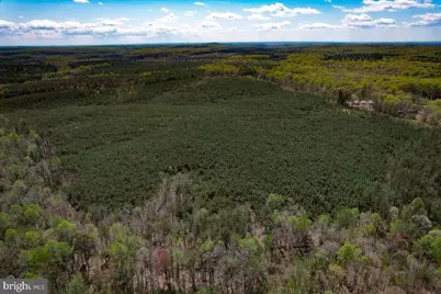 116.32 Acres Gilliam Mill Road, Dillwyn, VA 23936 - Photo 34