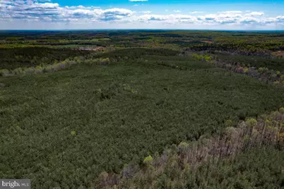 116.32 Acres Gilliam Mill Road, Dillwyn, VA 23936 - Photo 14