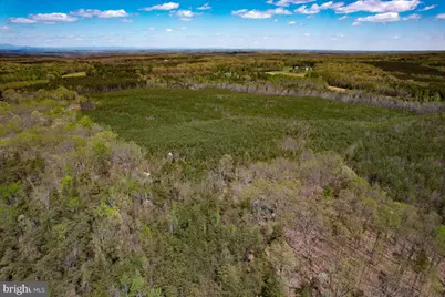 116.32 Acres Gilliam Mill Road, Dillwyn, VA 23936 - Photo 10