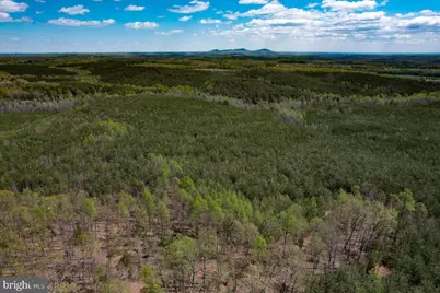 116.32 Acres Gilliam Mill Road, Dillwyn, VA 23936 - Photo 12