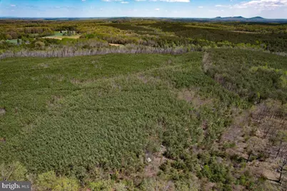 116.32 Acres Gilliam Mill Road, Dillwyn, VA 23936 - Photo 42