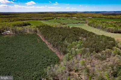 116.32 Acres Gilliam Mill Road, Dillwyn, VA 23936 - Photo 30