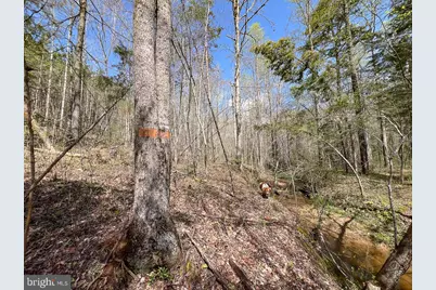 116.32 Acres Gilliam Mill Road, Dillwyn, VA 23936 - Photo 26