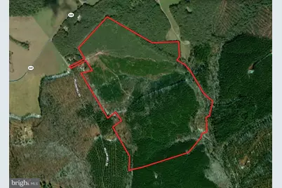 116.32 Acres Gilliam Mill Road, Dillwyn, VA 23936 - Photo 1