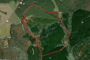 116 32 Acres Gilliam Mill Rd, Dillwyn, VA 23936 - Photo 1