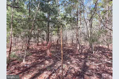 116.32 Acres Gilliam Mill Road, Dillwyn, VA 23936 - Photo 40