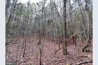 116.32 Acres Gilliam Mill Road, Dillwyn, VA 23936 - Photo 8