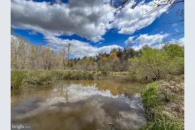116.32 Acres Gilliam Mill Road, Dillwyn, VA 23936 - Photo 20
