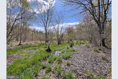 116.32 Acres Gilliam Mill Road, Dillwyn, VA 23936 - Photo 22