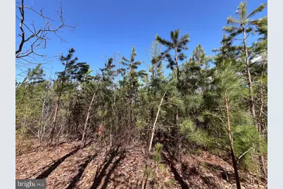 116.32 Acres Gilliam Mill Road, Dillwyn, VA 23936 - Photo 38