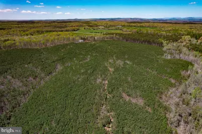 116.32 Acres Gilliam Mill Road, Dillwyn, VA 23936 - Photo 2