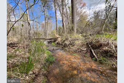 116.32 Acres Gilliam Mill Road, Dillwyn, VA 23936 - Photo 24