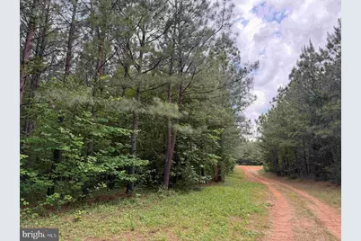 Bell Road (Tract: Moore North), Dillwyn, VA 23936 - Photo 2